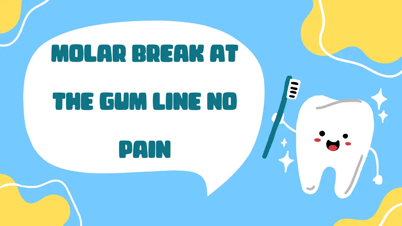 Molar Break at the Gum Line No Pain